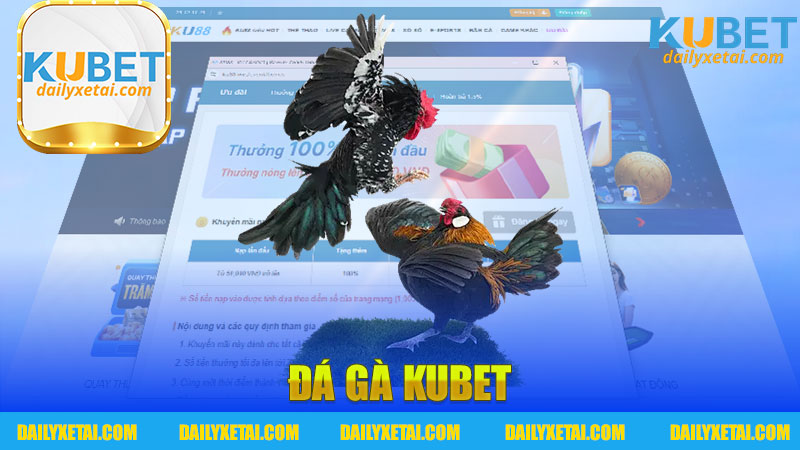 Đá Gà Kubet - Trải Nghiệm Thú Vị Trong Thế Giới Đá Gà Online